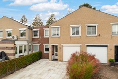 De wervel 38-2-1.jpg